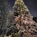 Cozy Arctic Heart * Rovaniemi