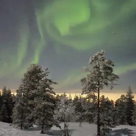 Cozy Arctic Heart