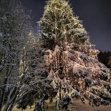 Cozy Arctic Heart * 로바니에미