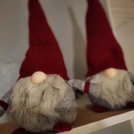 Cozy Arctic Heart * روفانييمي