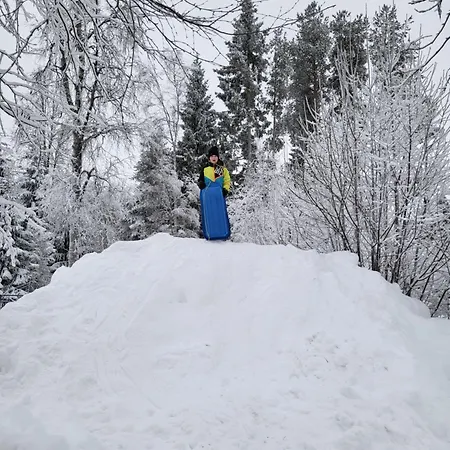 Cozy Arctic Heart شقة