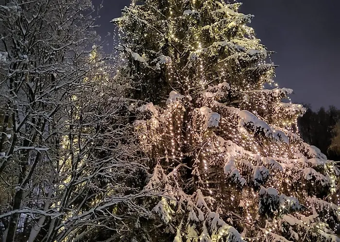 Cozy Arctic Heart * روفانييمي