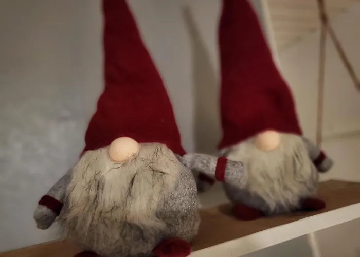 Cozy Arctic Heart * روفانييمي