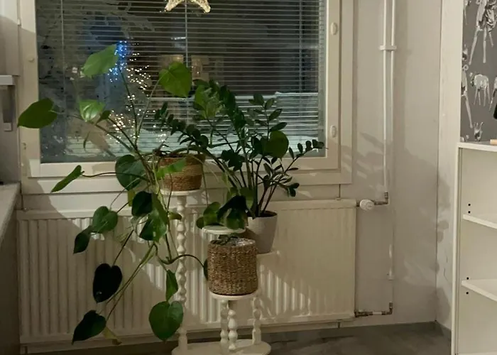 Cozy Arctic Heart شقة *